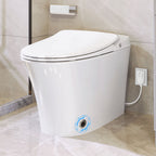 Luxury Smart Toilet with Dryer and warm water, Elongated Bidet Toilet with Heated Seat, with Remote Control, LED Night Light, Power Outage Flushing, Soft Close Cover,Whit White SKU WF314235AAA product image 1