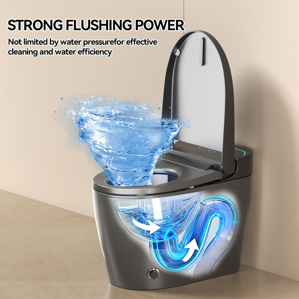 Unique Smart Toile, One Piece Toilet with Bidet Built In,Intelligent Toilet Auto Open/Close Seat. Bidet toilet with Dryer and Warm Water.Gray